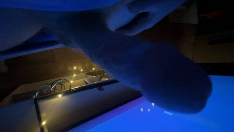 adult top blog list with Malinka Miu — adult tube video