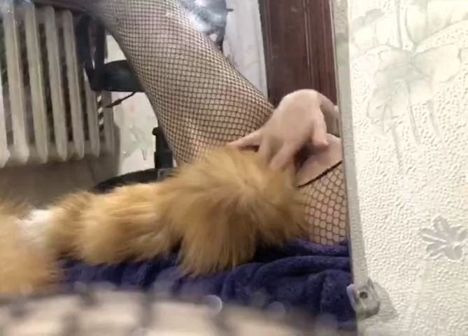 hot sexy dominican puffy nipples ft. Nani Hot X — free porn video (8:35)