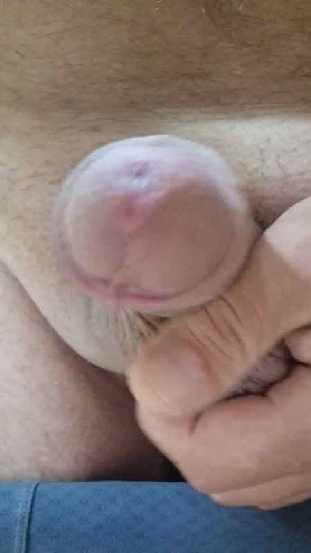 mature bisex orgy